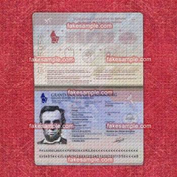 Sweden Passport Fake Template